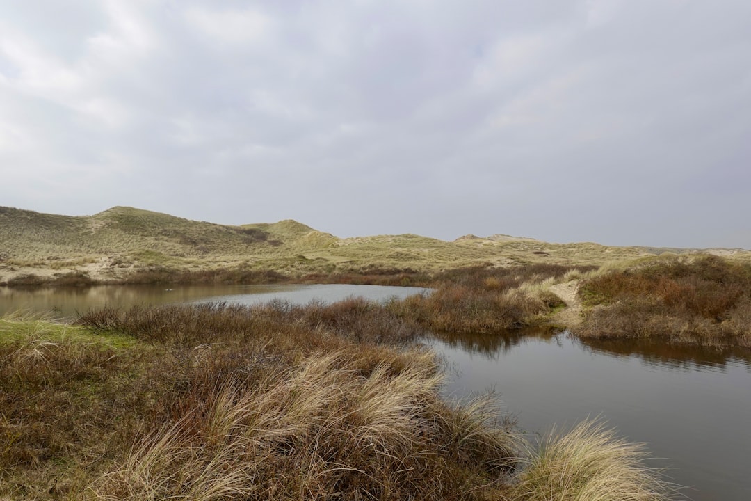 a body of water surrounded by grass and hills