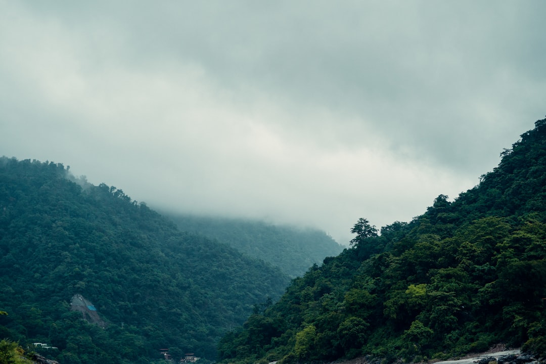 a landscape with trees and hills