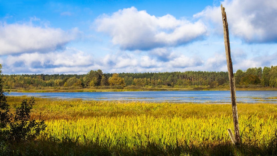 green grass field near lake under white clouds and blue sky during daytime