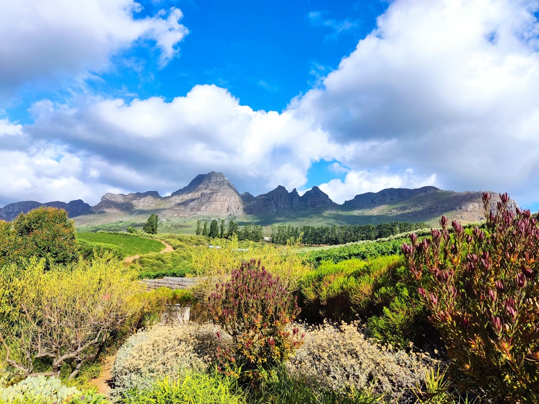 a scenic view of a mountain range with a river running through it