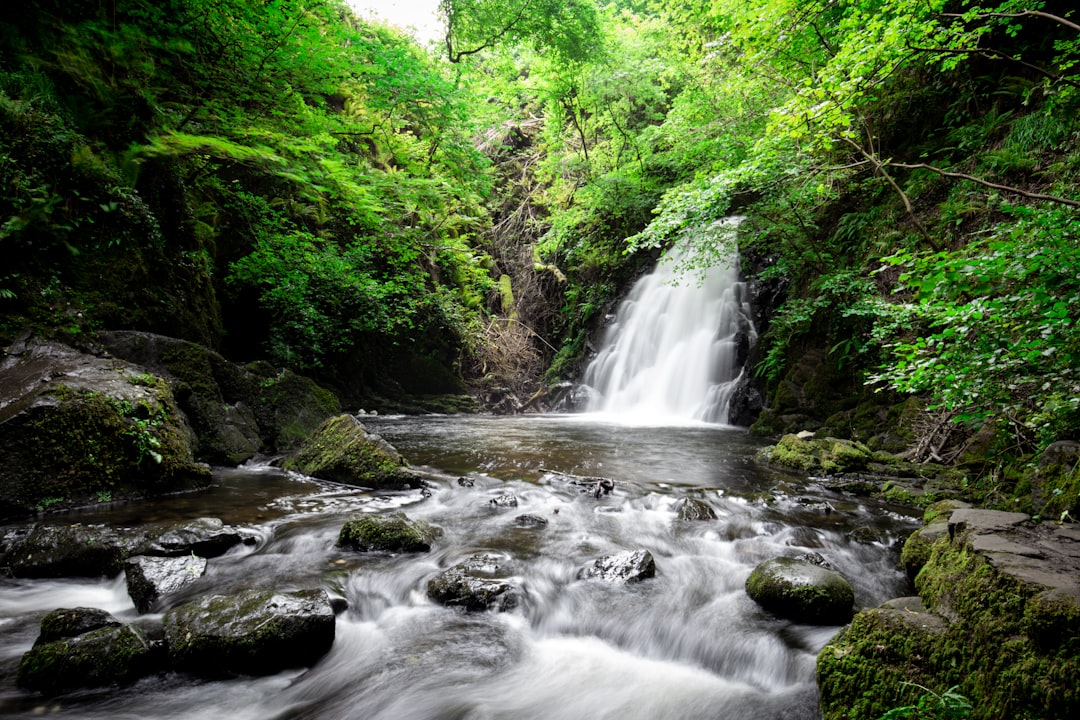 waterfalls in the middle of the forest
