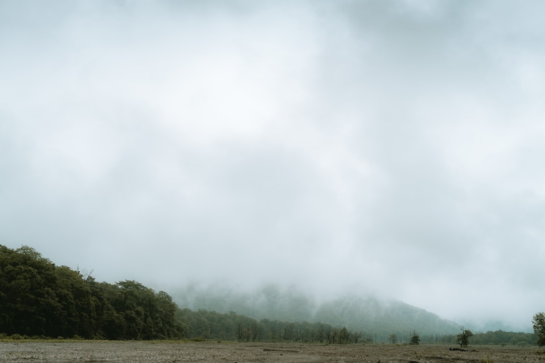 a landscape with trees and a cloudy sky