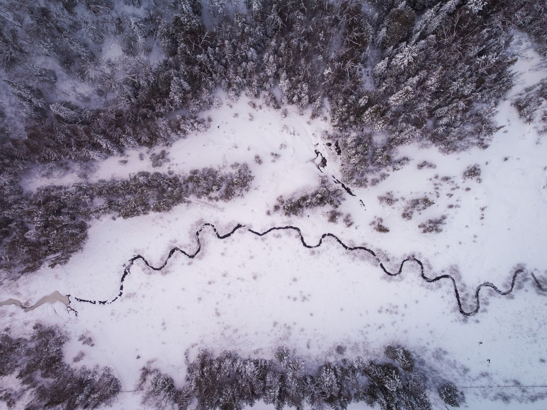 an aerial view of a snow covered forest